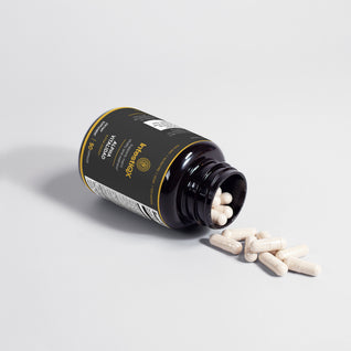 Alpha Energy — Energía Natural