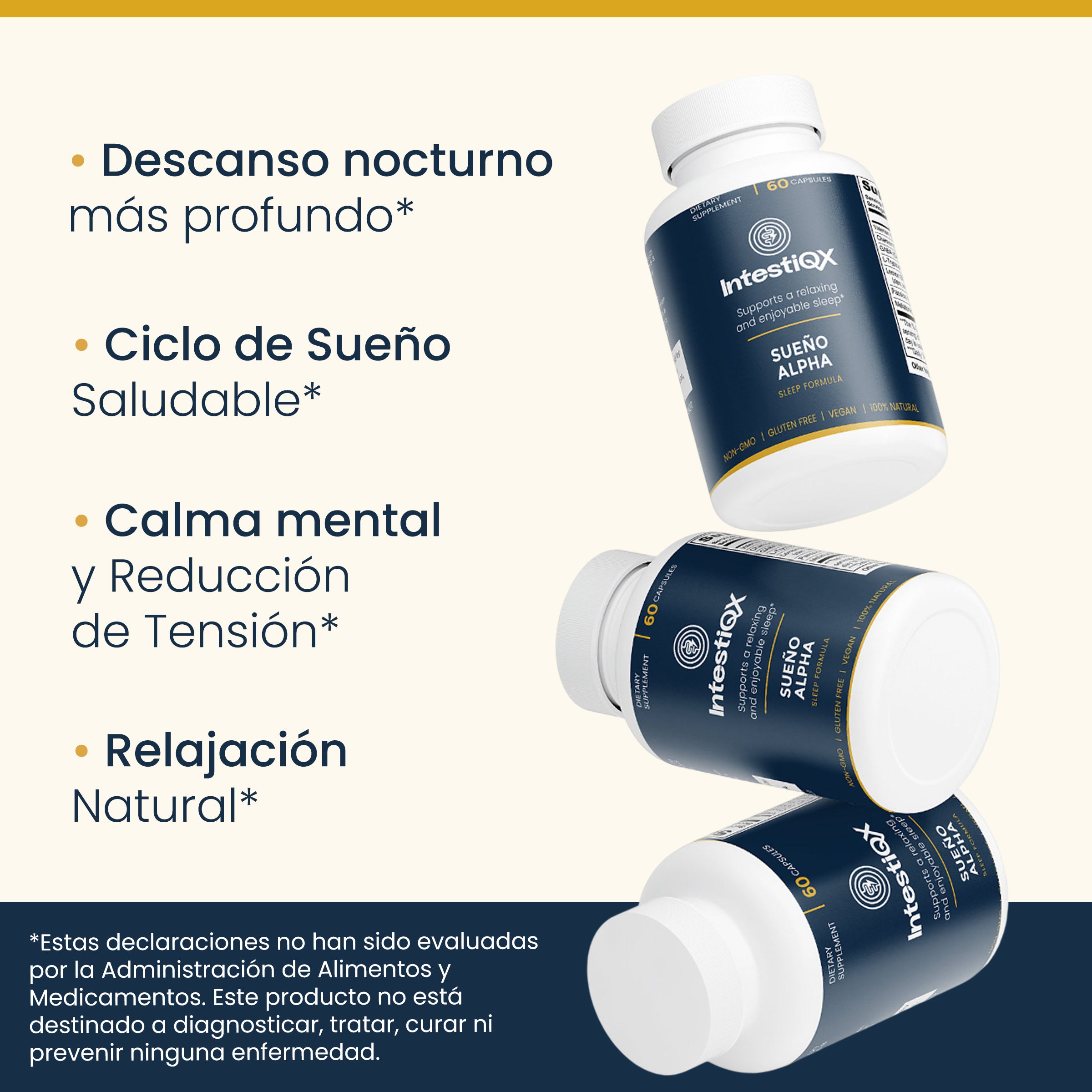 Renovación Nocturna